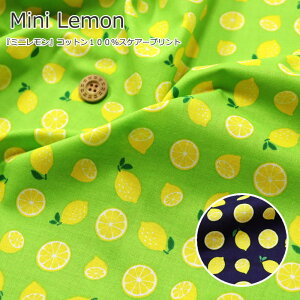 wMini Lemon~jxRbg100XPA[vgfށFRbg100@nF108cmʕ/̎q/j̎q/LbY/l//nhCh/Â/EFA[//CeA/