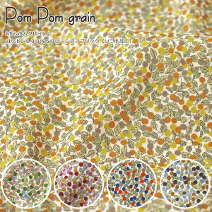 wPom Pom grains||OCtxRbg10060[t@ubN\tgHfށFRbg100@nF106cmԕ/t[/̎q/LbY/xr[/l//nhCh/Â