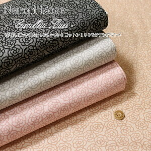 wl[YJA[XxRbg100TevgfށFRbg100@nF108cm}eBbN///̎q/LbY/l///w/EFA[//CeA/n