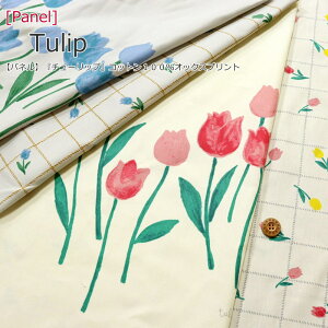 yplzwTulip`[bvxRbg100IbNXvgfށFRbg100nF112cmi1plF60cmjԕ/t[/LbY/l//g[gobO/NbVJo[/n