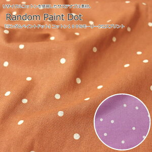 TCNRbggpTXeiufށBw_yCghbgxRbg100[[NXvgfށFRbg100@nF108cmECO////EFA[/Ce