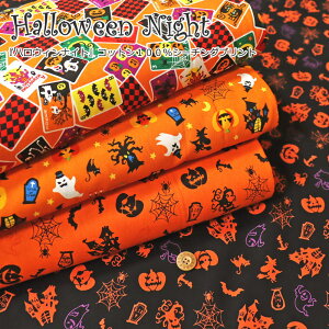 wHalloween NightnEBiCgxVGbgƐgvRbg100V[`OvgfށFRbg100@nF108cm̎q/j̎q/LbY//ߑ/EFA[//