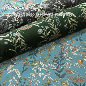 wBotanical Record{^jJR[hxRbg100VcR[fCvgfށFRbg100@nF106cmH~/ԕ/̎q/LbY/l//EFA[//CeA/Â/