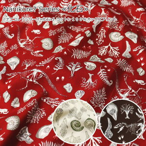 Nanikore? SeriesiijRHV[Yjw΁xRbg100IbNXvgfށFRbg100@nF110cm/A/j̎q/LbY///w/EFA[//CeA/nhC