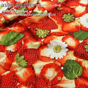 astin muhleriAXeB[[jwCBigxRbg100IbNXCNWFbgvgfށFRbg100@nF108cmʕ///nhCh///EFA