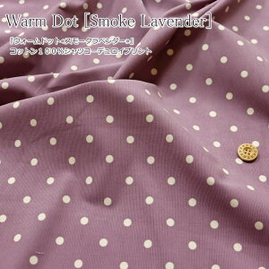 wEH[hbgX[Nx_[xRbg100VcR[fCvgfށFRbg100@nF106cmH~//݃J[/̎q/LbY/l//EFA[//C