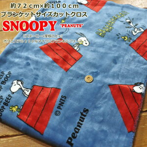 yJbgNX̔z72cm×100cmuPbgTCYJbgNXwXk[s[ቮ̏x|GXe100}CNtlt[XfށF|GXe100