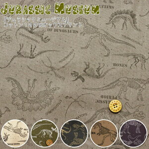 wWVbN~[WAxRbg100IbNXvgfށFRbg100@nF110cm/j̎q/LbY///w//EFA[/CeA/nhCh/Â/