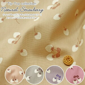 eBbvgbvwNatural Strawberryi`Xgx[xRbg100IbNXvgfށFRbg100@nF110cmC`S//̎q/LbY/l///w//EFA[/