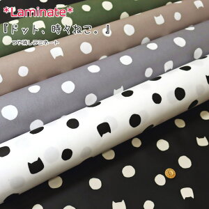 yۊiɂĂmFzy~l[gzwhbgAX˂Bxirj[R[eBOjnF108cmlR/̎q/݃J[/nhCh/