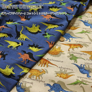 wBrave DinosauruCu_Ci\[xRbg100V[`OvgfށFRbg100@nF108cm/j̎q/LbY/xr[//n//w//EFA[///CeA