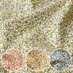 wPetit Leafv`[txRbg10060[vgfށFRbg100@nF108cmԕ/t[/̎q/LbY/xr[/l//nhCh/Â/EFA[//CeA