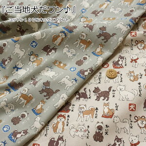 wnxRbg100IbNXvgfށFRbg100@nF110cm/hbO/j̎q/̎q/LbY/q/l//n//w//EFA[/CeA/nhC