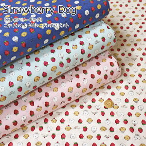 wStrawberry DogXgx[hbOxRbg100V[`OvgfށFRbg100@nF108cm//XC[c/̎q/xr[/LbY/l//n//w/EFA[//C