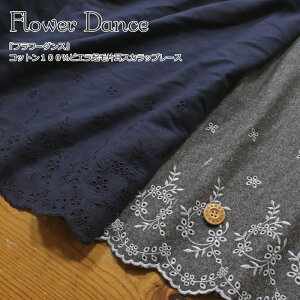 wFlower Dancet[_XxRbg100rGNѕЎXJbv[XfށFRbg100@nF104cmH~/ԕ/hJ/hイ/GuC_[/n//EFA[///n