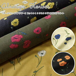 wAlways FlowerI[EFCYt[xRbg10030rGNуvgfށFRbg100@nF108cmH~/ԕ/t[/̎q/LbY/l//n/EFA[///Ce