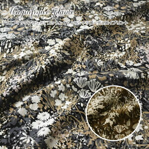 wMagnifique plante }jtBbNvgxRbg100VcR[fCvgfށFRbg100@nF106cmH~/ԕ/̎q/LbY/l//EFA[//CeA/