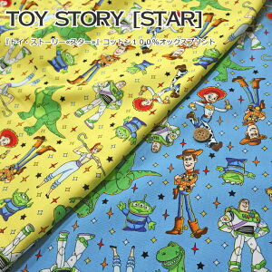 wgCEXg[[X^[xRbg100IbNXvgfށFRbg100@nF110cmpps/LN^[/TOY STORY/fBYj[/sNT[/j̎q//n/EFA[//