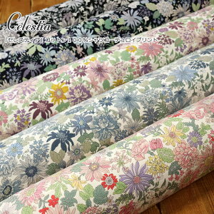 wCelestiaZXeBAxRbg100VcR[fCfށFRbg100@nF108cmH~/ԕ/t[/̎q/LbY/l//n/EFA[//CeA/Â/nh