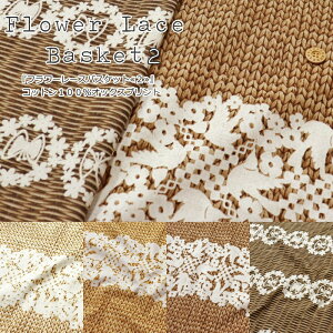 wt[[XoXPbg2xRbg100IbNXvgfށFRbg100@nF110cmԕ/傤//̎q/LbY/l///w//EFA[/CeA/n