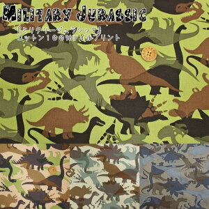 w~^[WVbNxRbg100cCvgfށFRbg100@nF110cm//j̎q/LbY///w//EFA[/CeA/nhCh/Â/