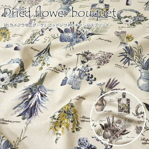 wDried flower bouquethCt[u[PxRbglLoXfށFRbg85l15@nF108cm/̎q/LbY/Ȗ/n/nhCh//EFA[/CeA