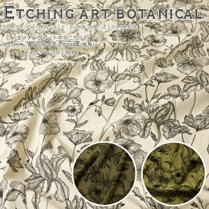 wEtching art botanicalsGb`OA[g{^jJtxRbg100z[XNXinzjGA[^u[HfށFRbg100@nF112cmj̎q/̎q/l//nhCh/
