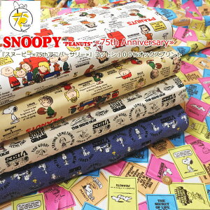 wXk[s[75thAjo[T[xRbg100IbNXvgfށFRbg100@nF110cmpps/LN^[/̎q/j̎q/LbY//nhCh//