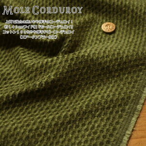 ㎿ŕ̗ǂ̃R[fCI140cmChw[R[fCxRbg100hr[R[fCiGA[^u[HjfށFRbg100@nF140cm