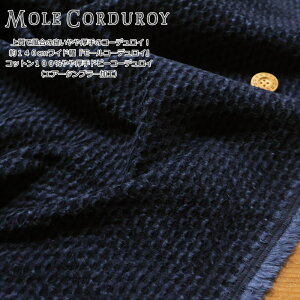 ㎿ŕ̗ǂ̃R[fCI140cmChw[R[fCxRbg100hr[R[fCiGA[^u[HjfށFRbg100@nF140cm