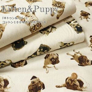 wKitten&PuppyLgDps[xRbg100IbNXvgfށFRbg100@nF110cmL//̎q/LbY/l//n//w//obO/EFA[//CeA/n