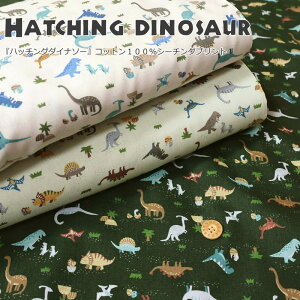 wHatching dinosaurnb`O_Ci\[xRbg100V[`OvgfށFRbg100@nF108cm/j̎q/LbY/xr[//n//w//EFA[///Ce