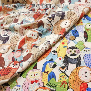 wӂ낤ƒ̒ԂxRbg100IbNXvgfށFRbg100@nF110cm/tNE/nVrRE/CR/LbY//n//w//EFA[/CeA/n