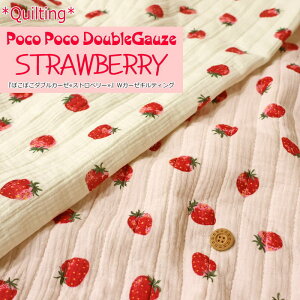 y1܂Ń[։\2ȏ͑zցzyLeBOzwۂۂ_uK[[Xgx[xWK[[LeBOnF60cmfށF\n/Rbg100 nA/