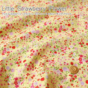 wLittle Strawberry Flower჊gXgx[t[xRbg100V[`OvgfށFRbg100@nF108cmԕ///̎q/LbY/l//EFA[//Ce