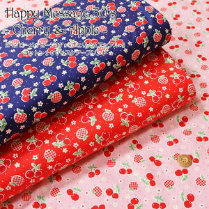 wnbs[bZ[W30fs`F[AbvxRbg100XPA[vgfށFRbg100@nF106cm//̎q/LbY/xr[/l//n/nhCh