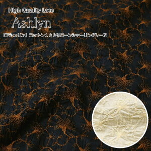 High Quality Lace AshlynwnCNIeB[XAVxRbg100[V[O[X[XLF82cm@fށFRbg100/hJ/hイ/̎q/[//EFA[/