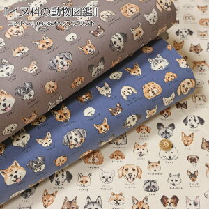 wCkȂ̓}ӁxRbg100IbNXvgfށFRbg100@nF110cm/ʉ/Lcl/LbY//n//w//EFA[/CeA/nhCh/Â/