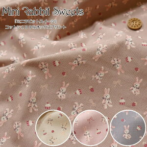 wMini Rabbit Sweets~jrbgXC[cxRbg100IbNXvgfށFRbg100@nF110cm/َq/LbY/̎q//n//w//EFA[/CeA/n