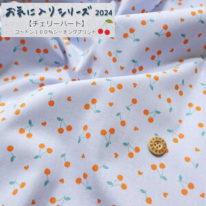 CɓV[Yw`F[n[gxRbg100V[`OvgfށFRbg100@nF108cm/̎q/LbY/q///w/EFA[//CeA/n