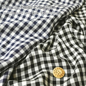 Tencel 6mm GinghamweZ6mmMKxdBD@eZ[fށFeZ100@nF108cmt/`FbN/LbY/l/n//EFA[//CeA/nhCh//