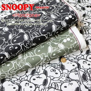 wXk[s[Ⴢmg[x142cmCh|GXe100IbNXvgfށF|GXe100@nF142cmpps/PEANUTS/LN^[/LbY/nhCh//