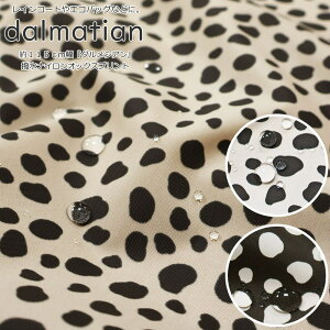 CR[gGRobOȂǂɁBw_VAx115cm@iCIbNXvgfށFiC100@nF115cmu`/j̎q/̎q/LbY/l/nhCh/Â/