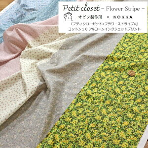 Irc쏊×KOKKAiRbJj̃R{nwv`N[[bgt[XgCvxRbg100[CNWFbgvgfށFRbg100@nF108cmԕ/EFA[/