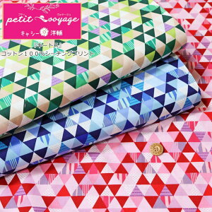 Petit VoyageiveBH[WjLV[×mwL[gXxRbg100V[`OvgfށFRbg100@nF110cmOp`/LV[/m//n/EFA[///