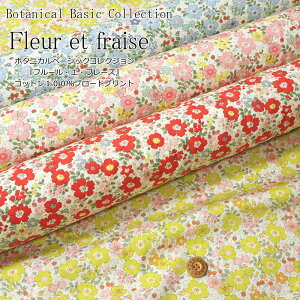 {^jJx[VbNCollectionwFleur et fraiset[EGEt[YxRbg100u[hvgfރRbg100@nF110cmԕ/C`S/t[//n/̎q//EF