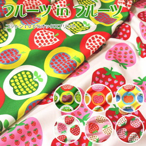 wt[c in t[cxRbg100IbNXvgfށFRbg100@nF110cmS/C`S/ʕ/LbY/̎q//n//w//EFA[/CeA/nhCh/