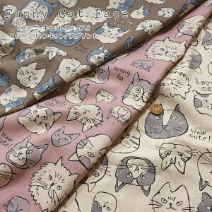 wFunny Cat Facet@j[LbgtFCXxRbglLoXvgfށFRbg85El15@nF108cmL/lR/LbY/Ȗ/n//w//obO/Ce