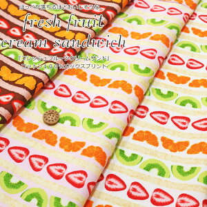 ق؂قǂȁBwtbVt[cN[ThxRbg100IbNXvgfށFRbg100@nF110cmC`S/LEC/IW/̎q//ʉ/ʊw/