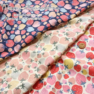 wMany StrawberryჁj[Xgx[xRbg100IbNXvgfށFRbg100@nF110cm/C`S/LbY/̎q//n//w//EFA[//CeA/nh